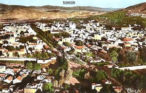 TLEMCEN 209 
